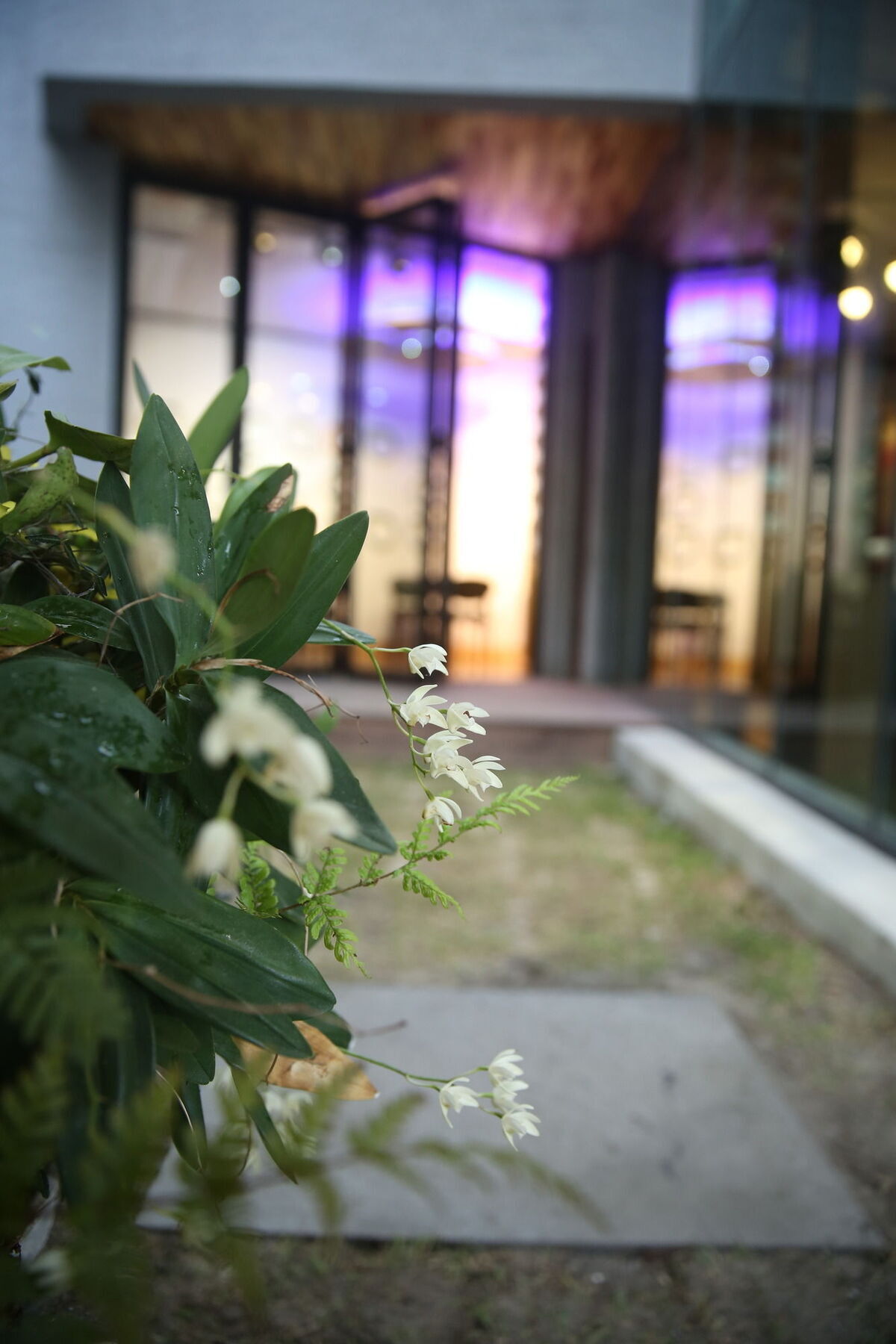 Sogondak House Villa Jeju by Eksteriør bilde